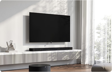 TV Mounting